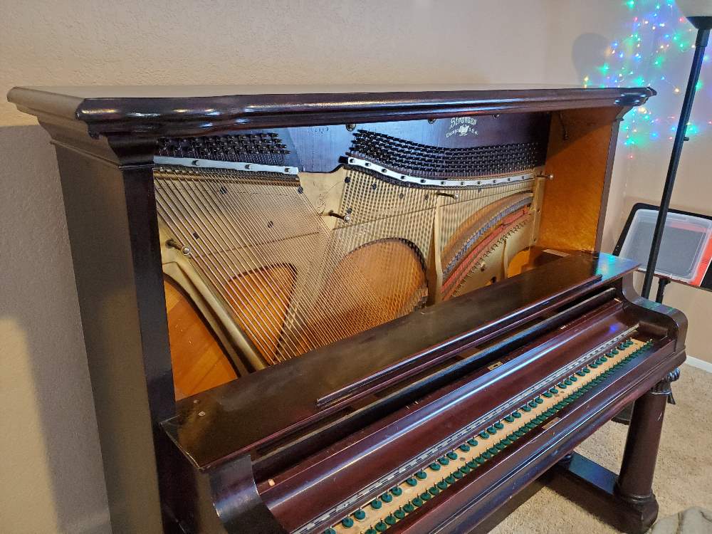B3 Clean strings, keybed, key pins B3 Clean strings, keybed, key pins